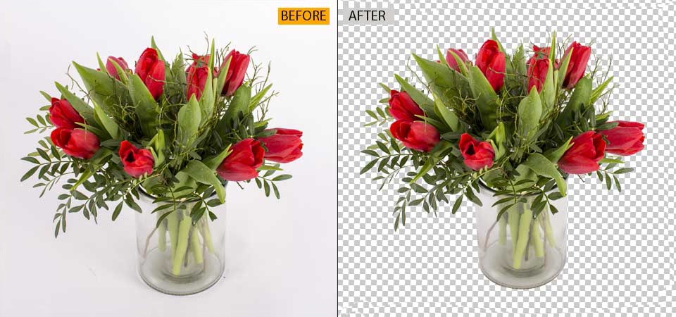 complax Complex Clipping Path image