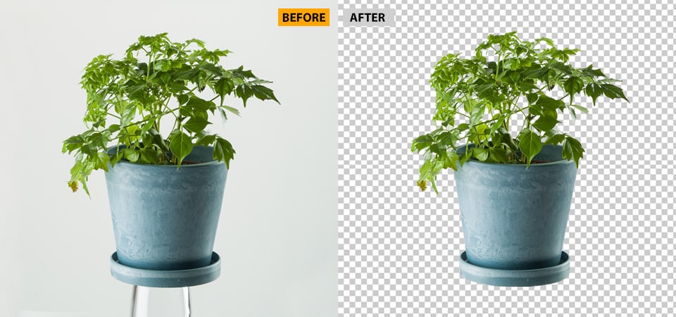 Complex Clipping Path